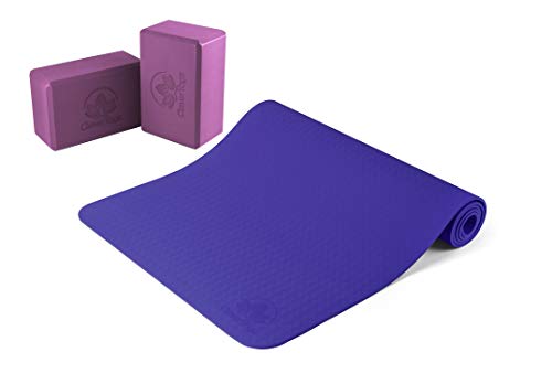 Yoga Mat with 2 Light Weight Yoga Blocks 1 Yoga Mat with 2 Light Weight Yoga Blocks