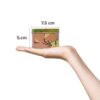 Ampliscent Scented Candles 100% Soy Wax Portable