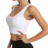Letsfit Sports Bra for Women, Workout Fitness Crop Tank Tops