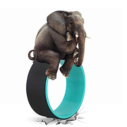 410gdY59KIL NGT Yoga Wheel 13 inch Yoga Wheels for Back Pain