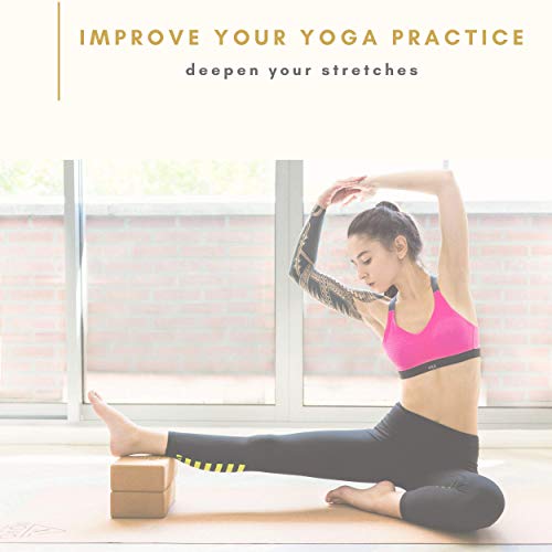 415UcmGNUBL NOVO Wellbeing Cork Yoga Block 2 Pack with Bag
