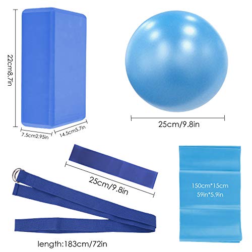 416WQBbvj2L.SL1500 Rehomy 5Pcs Yoga Equipment Set, Yoga Exercise Ball