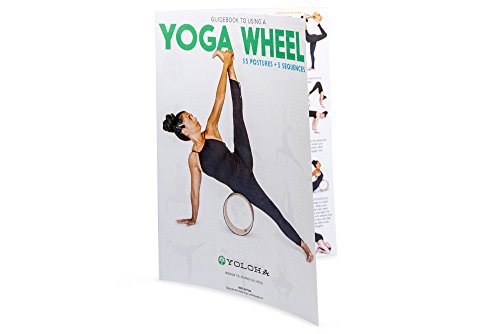 41AL2rJnxdL Moisture-Resistant Premium Cork Yoga Wheel