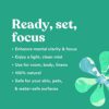 Peppermint & Rosemary Aromatherapy Mist for Focus, Clarity, and Refreshment – Ideal for Face, Body, Rooms & Linens