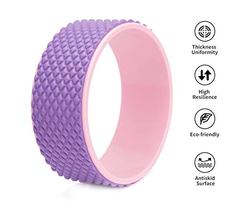 41C5euhhAgL LERYG Sports Yoga Wheel- Strongest