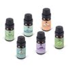 Lagunamoon Essential Oils Top 6 Gift Set