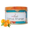 Ampliscent Scented Candles 100% Soy Wax Portable