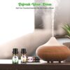 Essential Oils Set YESMET 100% Pure Natural Aromatherapy