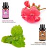Lagunamoon Essential Oils Gift Set for Diffuser