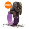 ATIVAFIT Yoga Wheel - Strongest, Most Comfortable Dharma