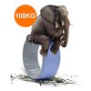 Eco-Friendly 3-Pack Yoga Wheel Set - Perfect for Back Pain Relief and Enhancing Flexibility! 🌟🧘‍♂️