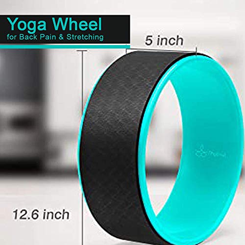 41jAoDpqjCL Yoga Wheel - The Ultimate Back Pain Relief and Posture Improvement Tool