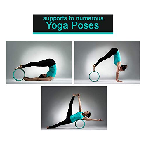 41k++z2upuL Yoga Wheel - The Ultimate Back Pain Relief and Posture Improvement Tool