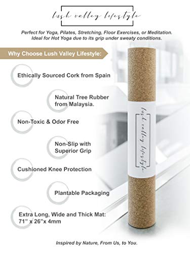 41oU2odwgVL LUSH VALLEY LIFESTYLE | Premium Cork Yoga Mat for Everyday Use