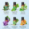 Essential Oils Set - Anjou Aromatherapy Essential Oil