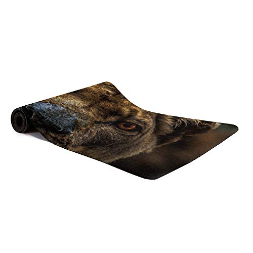 Yoga Mat Non Slip Hot Yoga Mat for Support and Stability in Yoga