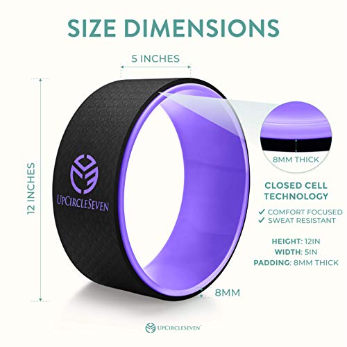 41xSghFMRuL UpCircleSeven Yoga Wheel Strongest