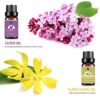 Lagunamoon Essential Oils Gift Set for Diffuser