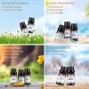 iKALULA 14 10mL Pure Aromatherapy Essential Oils