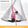 Antigravity Yoga Swing Set with 2 Extension Straps Daisy Chains O-Ring