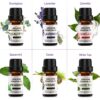 Elevate Your Senses with Our Top 12 Premium Essential Oils Set