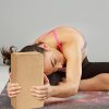 Cork Yoga Block 2 Pack Plus Strap Cork Yoga Bricks