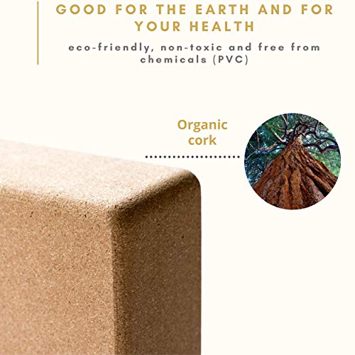 51FM1CFRKhL NOVO Wellbeing Cork Yoga Block 2 Pack with Bag