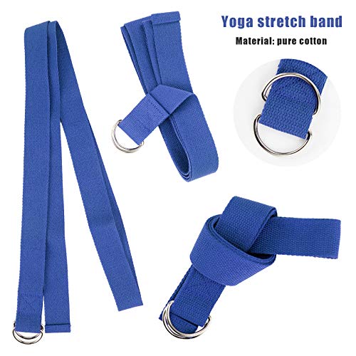 51FzolclNqL.SL1500 Rehomy 5Pcs Yoga Equipment Set, Yoga Exercise Ball