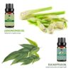 Lagunamoon Essential Oils Top 6 Gift Set