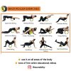 Yoga Wheel for Back Pain, Back Massager, deep Tissue, Massage