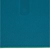 Yoga Mat: Premium 5mm Thick Mat with Alignment Stripe for Ultimate Yoga Experience