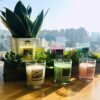 Set of 12 Scented Candles with 6 Fragrances