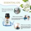 Elevate Your Senses with Our Top 12 Premium Essential Oils Set