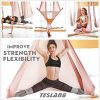 Antigravity Yoga Swing Set with 2 Extension Straps Daisy Chains O-Ring