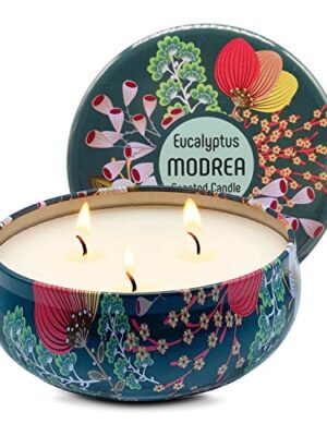 Eucalyptus Aromatherapy Candle Pure Soy Wax Large
