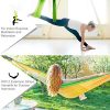 Sotech Aerial Yoga Swing Set, Yoga Hammock