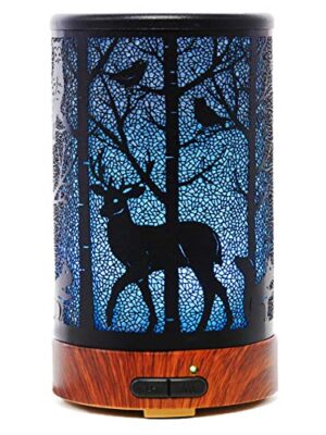 EQUSUPRO Essential Oil Diffuser 100ml Metal Aromatherapy