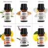 Elevate Your Senses with Our Top 12 Premium Essential Oils Set