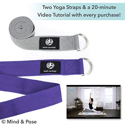 51cFmNggzVL.SL1500 Flexibility and Balance Pain Relief, Backbend Mastery