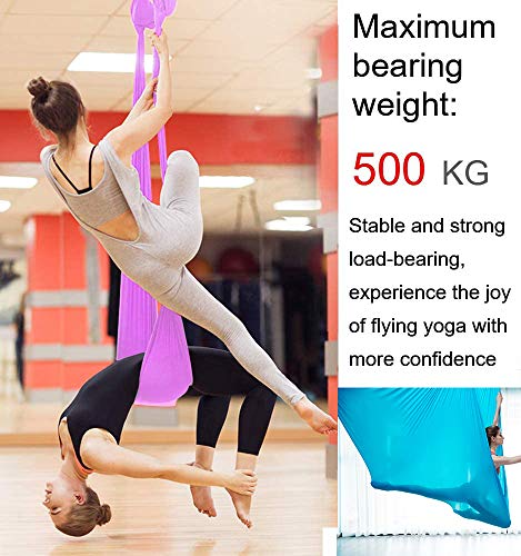 SAIVEN Aerial Silks-Aerial Yoga Hammock with Deluxe Yoga Swing