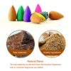 Aromatherapy Bliss: 240 Natural Backflow Incense Cones for Serenity