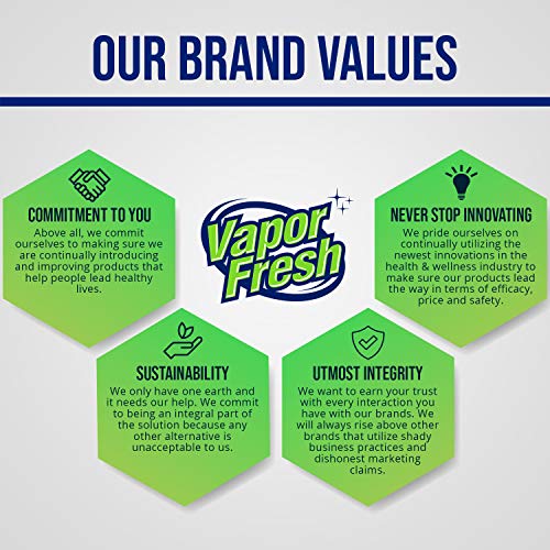51eZsLbVdnL Vapor Fresh Natural Sports Cleaning and Deodorizing Spray
