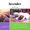 Jasmine Seven Yoga Wipes for Body and Mat 🧘