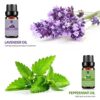 Lagunamoon Essential Oils Top 6 Gift Set