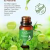Essential Oils Set - Anjou Aromatherapy Essential Oil