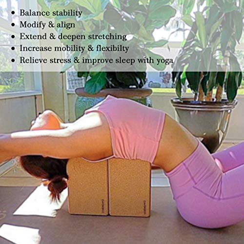 Yoga Eco Friendly Yoga Cork Block