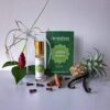 Essential Oil Blends Roll On for Meditation, Yoga