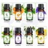 Zenith Aroma Bliss: 500ml Essential Oil Diffuser with Tranquil Essential Oil Set
