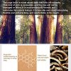 Cork Yoga Block Is 100% Natural Recyclable Environmentally