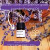 Chakra Lava Rock Aromatherapy Diffuser Bracelet